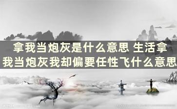 拿我当炮灰是什么意思 生活拿我当炮灰我却偏要任性飞什么意思